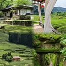 南平旅游 缩略图 5