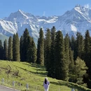 伊犁旅游 缩略图 14