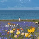 伊犁旅游 缩略图 8