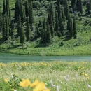 伊犁旅游 缩略图 4