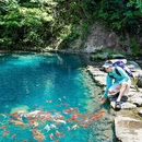 温州旅游 缩略图 14