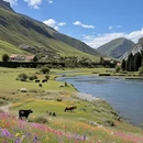 伊犁旅游 缩略图 1