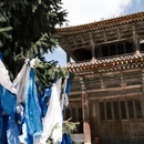 伊犁旅游 缩略图 8