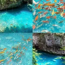 温州旅游 缩略图 16