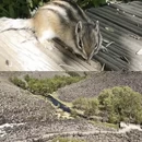 兴安盟旅游 缩略图 9