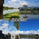 红河旅游 缩略图 4