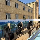 延边旅游 缩略图 9