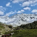 伊犁旅游 缩略图 4