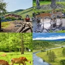 兴安盟旅游 缩略图 5