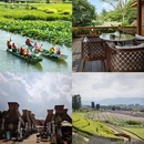 红河旅游 缩略图 4