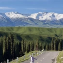 伊犁旅游 缩略图 15