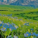 甘孜旅游 缩略图 1