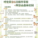 呼伦贝尔旅游 缩略图 5