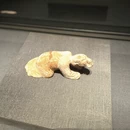 西安旅游 缩略图 16