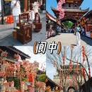 眉山旅游 缩略图 5