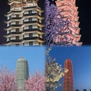 郑州旅游 缩略图 3