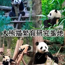 西安旅游 缩略图 4