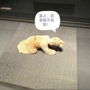 西安旅游 缩略图 15