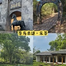 普洱旅游 缩略图 5