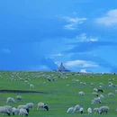 呼伦贝尔旅游 缩略图 5
