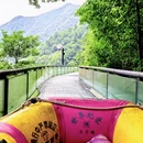 杭州旅游 缩略图 14