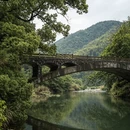 杭州旅游 缩略图 1