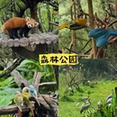 普洱旅游 缩略图 2