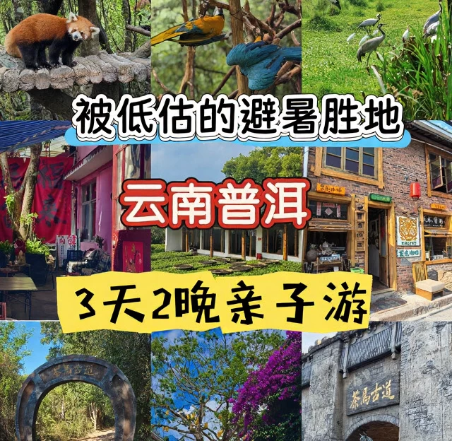 普洱旅游 1