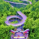 杭州旅游 缩略图 10