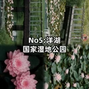 长沙旅游 缩略图 6