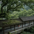 杭州旅游 缩略图 4