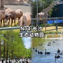 长沙旅游 缩略图 5