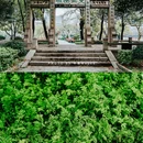 湘潭白石公园 - 湘潭市旅游 缩略图 3