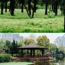 湘潭白石公园 - 湘潭市旅游 缩略图 8