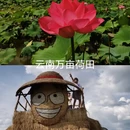 南京旅游 缩略图 2