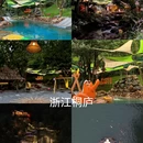 南京旅游 缩略图 10