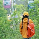 武汉旅游 缩略图 5