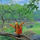 武汉旅游 缩略图 14