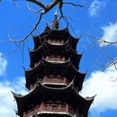 上海旅游 缩略图 11