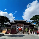 上海旅游 缩略图 10