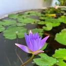 上海旅游 缩略图 6