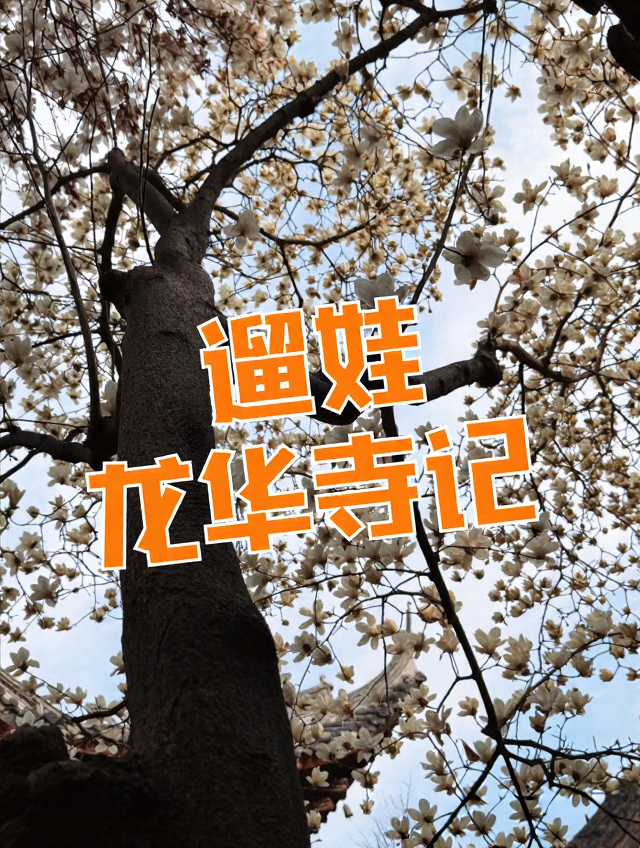 上海旅游