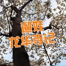 上海旅游 缩略图 1