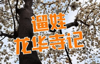 🌸龙华寺春日亲子游，古玉兰与非遗手作