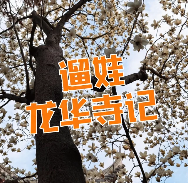 上海旅游 1