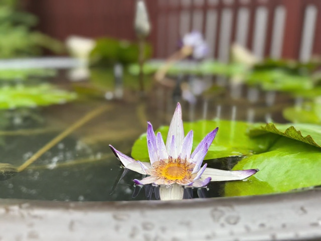 上海旅游