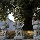 长沙旅游 缩略图 9