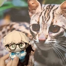 上海旅游 缩略图 4