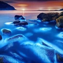 上海旅游 缩略图 1
