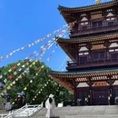 东林大佛 - 九江市旅游 缩略图 3